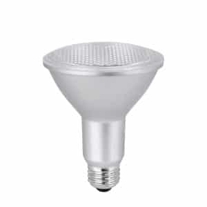 Xtricity 1-50011 – 5000K PAR30 120V Bulb