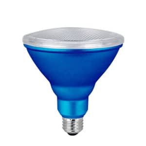 Xtricity 1-50027 Blue Outdoor PAR38 / 7W / 120V LED Bulb