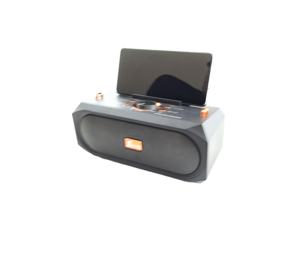 Bluetooth FM radio with phone holder