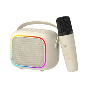 Haut-parleur karaoké Bluetooth Havit SK818BT-BG avec microphone sans fil, modificateur de voix intégré et éclairage LED RGB.